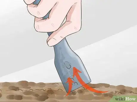 Image titled Clean a Fish Tank With Sand Step 15