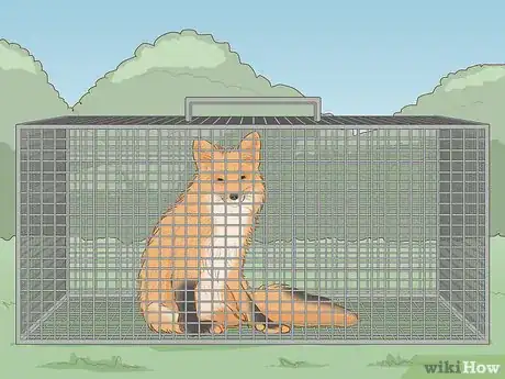 Image titled Catch a Fox Step 11