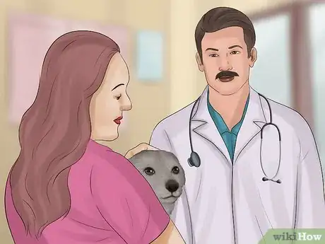 Image titled Stop a Dog from Bleeding Step 10