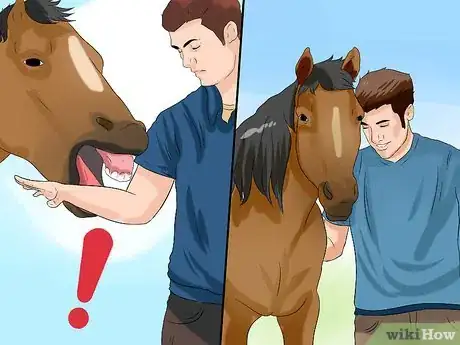 Image titled Train a Horse to Respect You Step 1