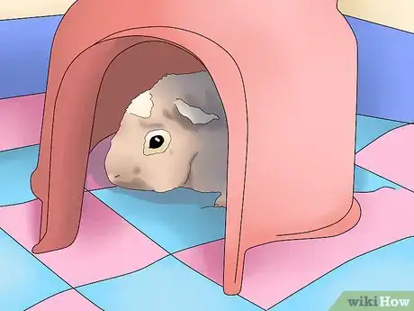 Image titled Make Sure Your Guinea Pig Is Happy Step 10