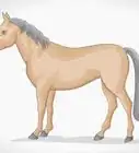Draw a Simple Horse