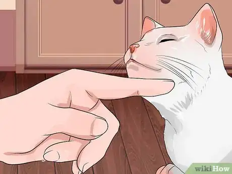 Image titled Pet a Kitten Step 3