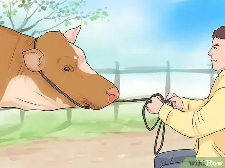 Image titled Humanely Euthanize a Cow Step 9