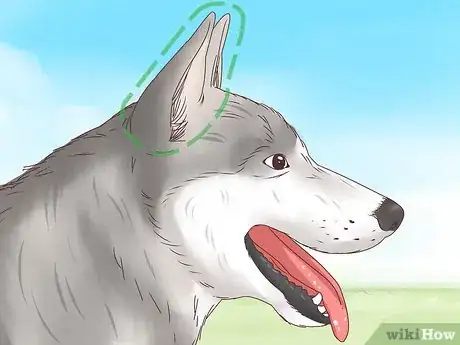 Image titled Understand Your Dog's Body Language Step 1