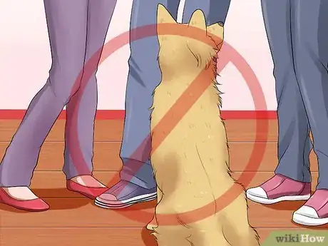 Image titled Make a Dog Stop Biting Step 3