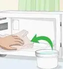 Get Rid of Microwave Smells