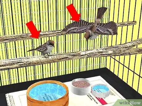 Image titled Make a Bird Cage from a Dog Cage Step 8