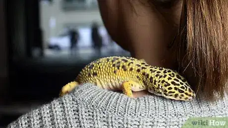 Image titled Have Fun With Your Leopard Gecko Step 13