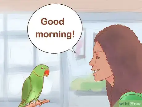 Image titled Care for a Parrot Step 17