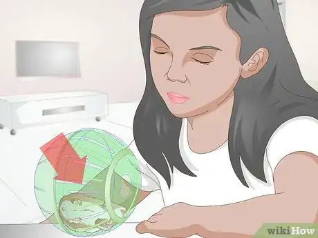 Image titled Use a Hamster Ball Step 1
