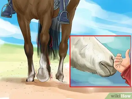 Image titled Understand Your Horse's Body Language Step 10