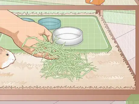Image titled Properly Care for Your Guinea Pigs Step 11