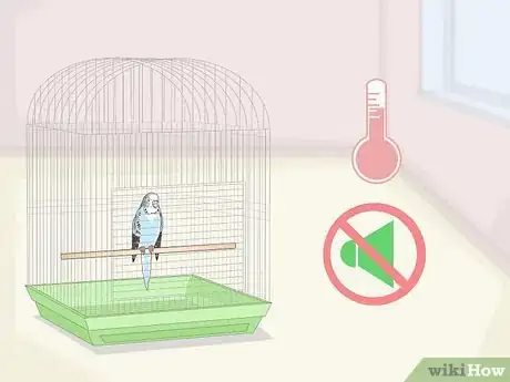 Image titled See if Your Pet Budgie Is Sick Step 15