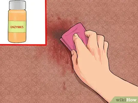 Image titled Clean Blood from Walls Step 10