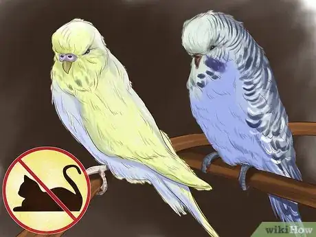 Image titled Choose a Parrot Step 7