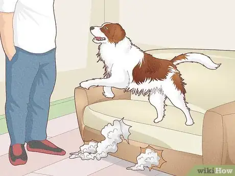 Image titled Stop a Dog's Unwanted Behavior Step 14