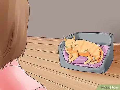 Image titled Help a Cat Give Birth Step 9