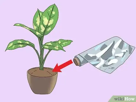 Image titled Prevent Cats from Digging Up Houseplants Step 2