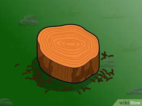 Image titled Preserve a Tree Stump Step 2