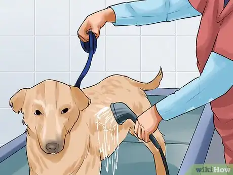 Image titled Give a Stubborn Dog a Bath Step 5
