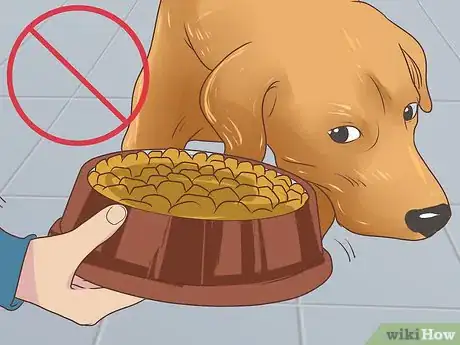 Image titled Feed a Pregnant Dog Shortly Before Labor Step 1