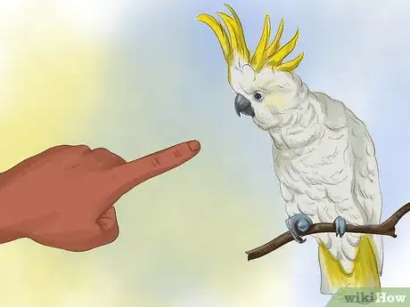 Image titled Choose a Parrot Step 8