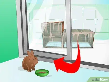 Image titled Keep a Rabbit Warm Step 10