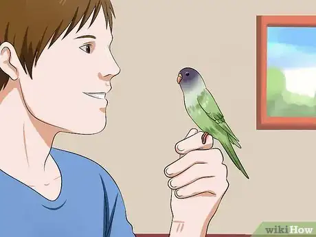 Image titled Tell if Your Pet Budgie Likes You Step 4