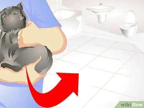 Image titled Remove Urine Smells from a Pet Step 5
