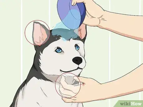 Image titled Wash a Dog's Face Step 5