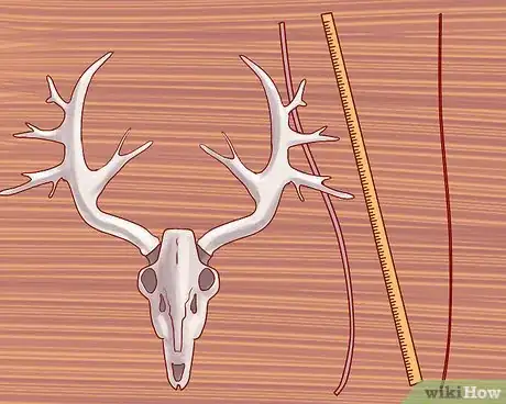 Image titled Score Deer Antlers Step 5