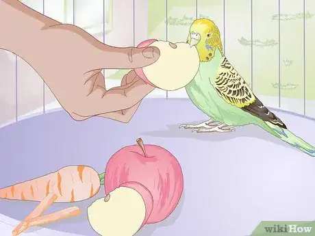 Image titled Feed Budgies Step 3