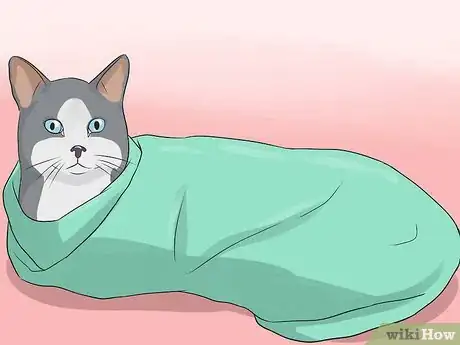 Image titled Give Your Cat Nose Drops Step 11