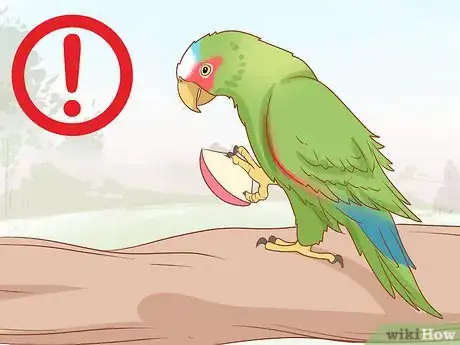 Image titled Identify Parrots Step 11