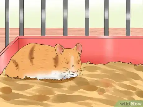 Image titled Train a Hamster Not to Bite Step 13