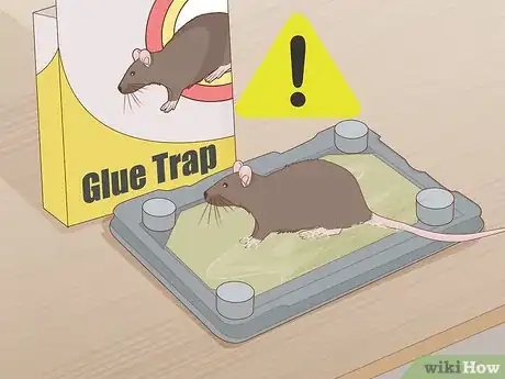 Image titled Get a Mouse Out of the House Step 8