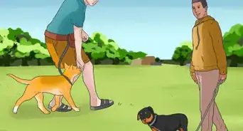 Walk a Puppy