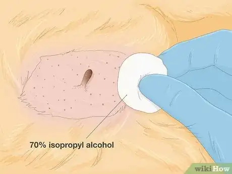 Image titled Remove a Dog’s Skin Tags at Home Step 3