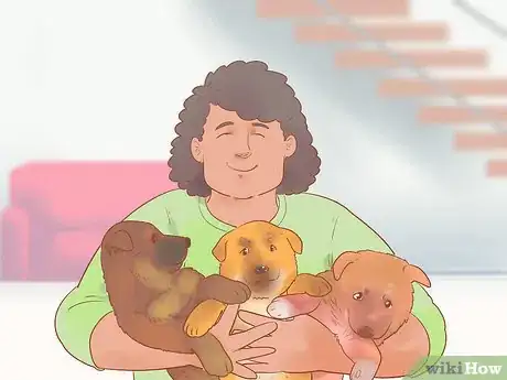 Image titled Choose a German Shepherd Puppy Step 9