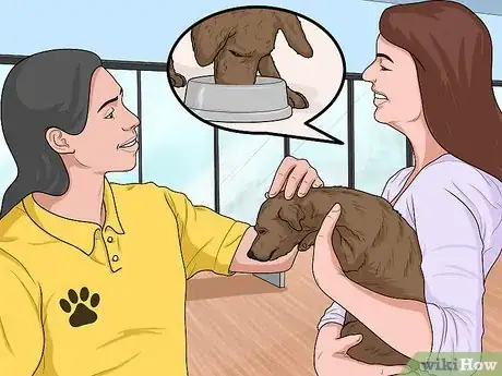 Image titled Prepare Your Household for a New Dog Step 25