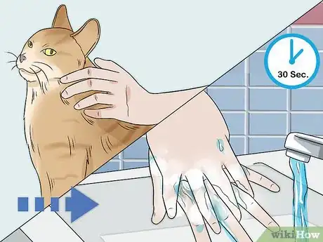 Image titled Keep a Cat if You Are Allergic to Cats Step 6