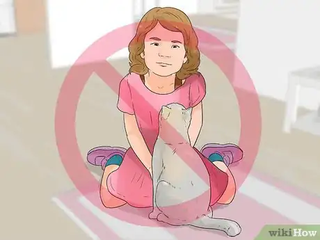 Image titled Prevent Cat Scratch Disease Step 6
