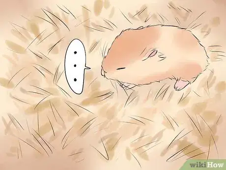 Image titled Treat Your Hamster's Broken Leg Step 1
