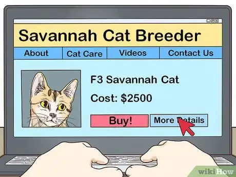 Image titled Identify a Savannah Cat Step 8