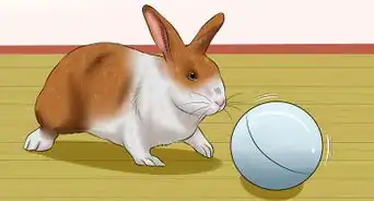 Stop a Rabbit from Sneezing