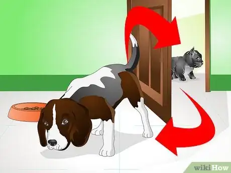 Image titled Help a New Kitten Become Familiar with Your Home Step 18