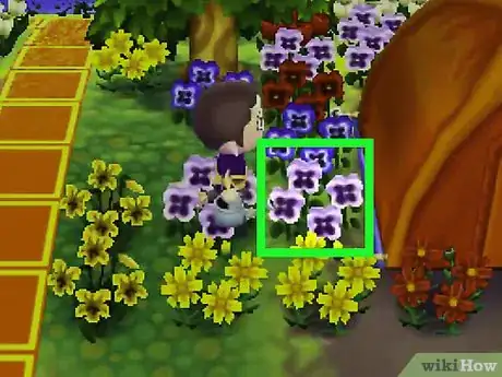 Image titled Get Blue Roses and Purple Pansies in Animal Crossing_ New Leaf Step 8