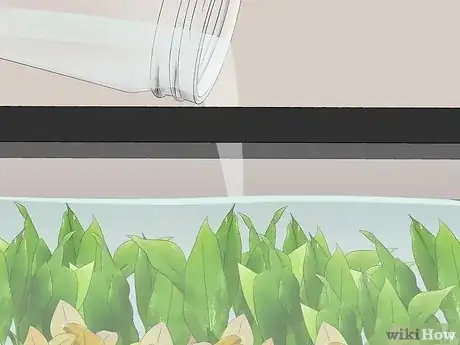 Image titled Set Up a Plant‐Only Aquarium Step 10