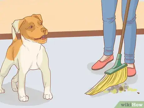 Image titled Take Care of Your Dog's Basic Needs Step 33